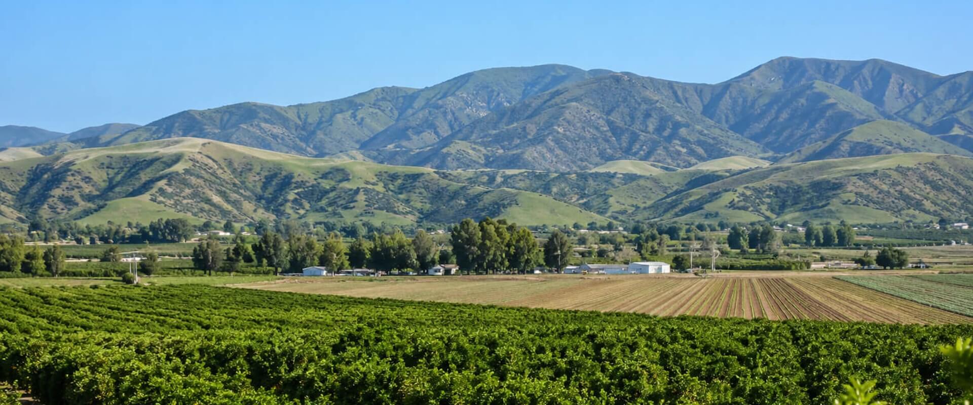 Camarillo Veterinarian