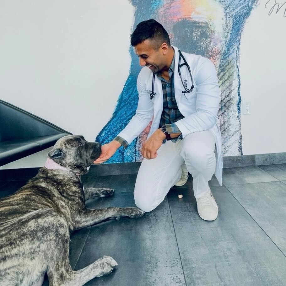 Dr. Sehaj Grewal
